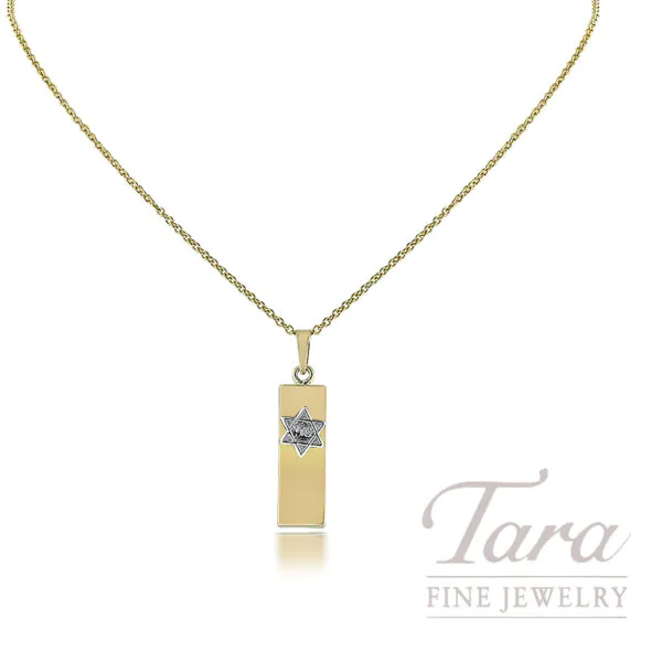 14K Yellow Gold Mazuzah Star of David Charm, 1.1G